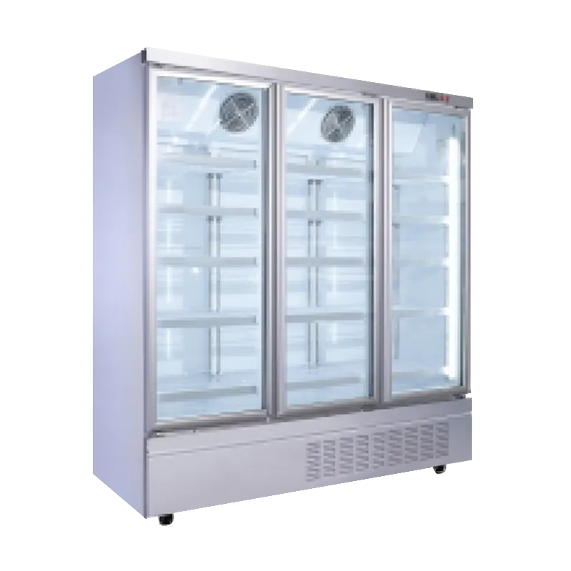 IVGC-3D-6921W